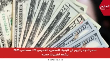سعر الدولار اليوم في البنوك المصرية الخميس 28 أغسطس 2025 يشهد تغييرات جديدة